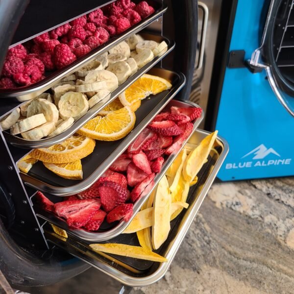 Blue Alpine ® Medium Freeze Dryer - Image 5